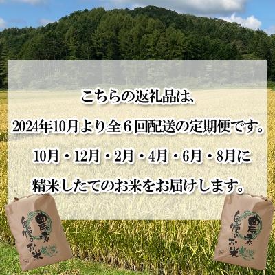 ふるさと納税 新ひだか町 北海道産希少米 おぼろづき 白米計10kg 