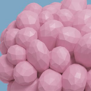 Introduction to AI-Supported Language Learning