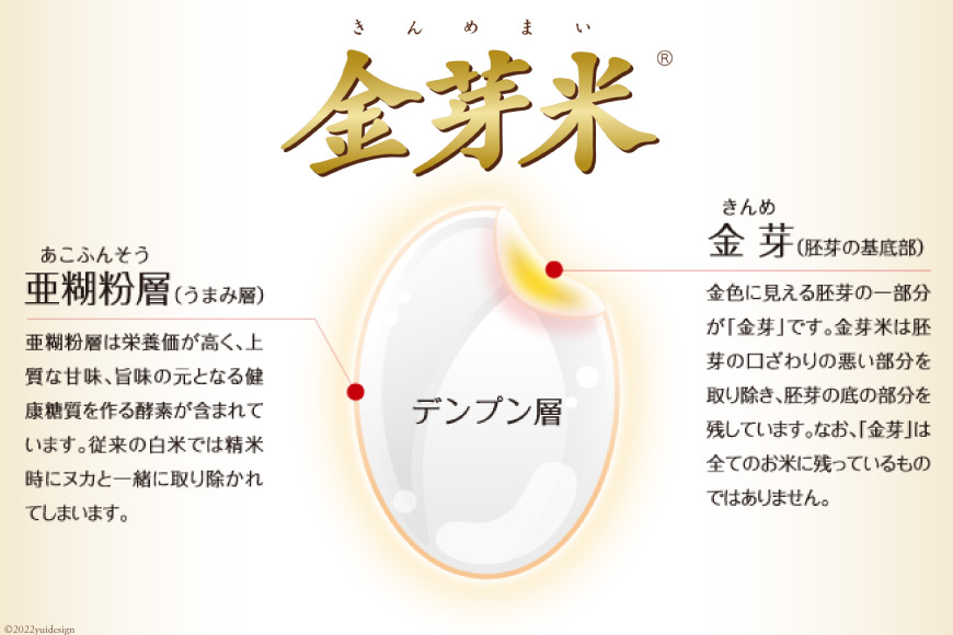 加美産 金芽米 ひとめぼれ 10kg (5kg×2袋)×6回 総計60kg 米 お米 精米 白米   カメイ   宮城県 加美町 [44580915]