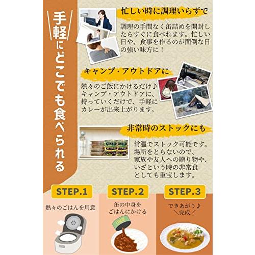 缶詰 グリーンカレー いなば カレー バターチキンカレー いなば食品【8種類×1個セット（ガパオ・グリーン・イエロー・黒カレー・赤カレー・バターチキン