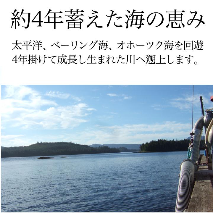 カナダ産 天然 紅鮭（甘口仕込）8切れ身入 希少な天然物 お弁当やほぐし身にしておにぎりにも最適！