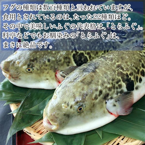 冬の贅沢てっちり鍋！とらふぐ鍋セット　関門海