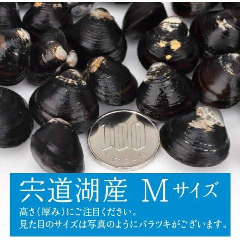 しじみ屋かわむら 島根県宍道湖産大和しじみ Mサイズ 5kg冷凍・砂抜き済(M5)