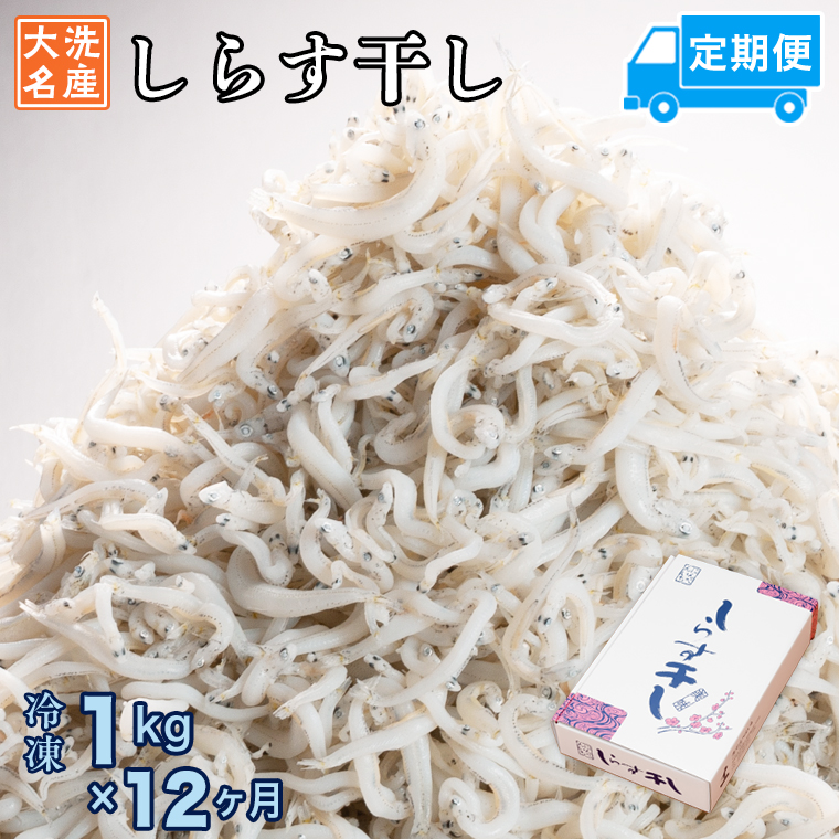 定期便 しらす干し (1kg×12か月) 天然 ふっくら 大洗 名産 しらす シラス 魚 さかな 魚介 離乳食