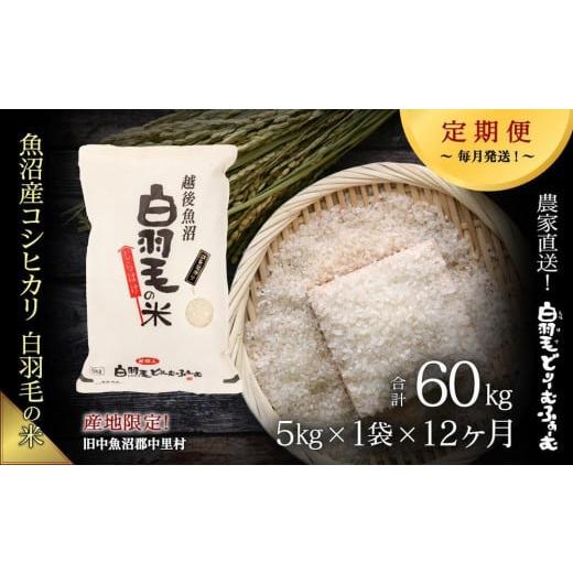 ふるさと納税 新潟県 十日町市 ≪令和5年産≫農家直送！魚沼産コシヒカリ「白羽毛の米」精米 (5kg×1袋)×12回 60kg