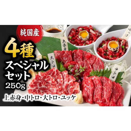 ふるさと納税 熊本県 人吉市 純国産 馬刺し 4種スペシャルセット 250g 赤身 霜降り 大トロ