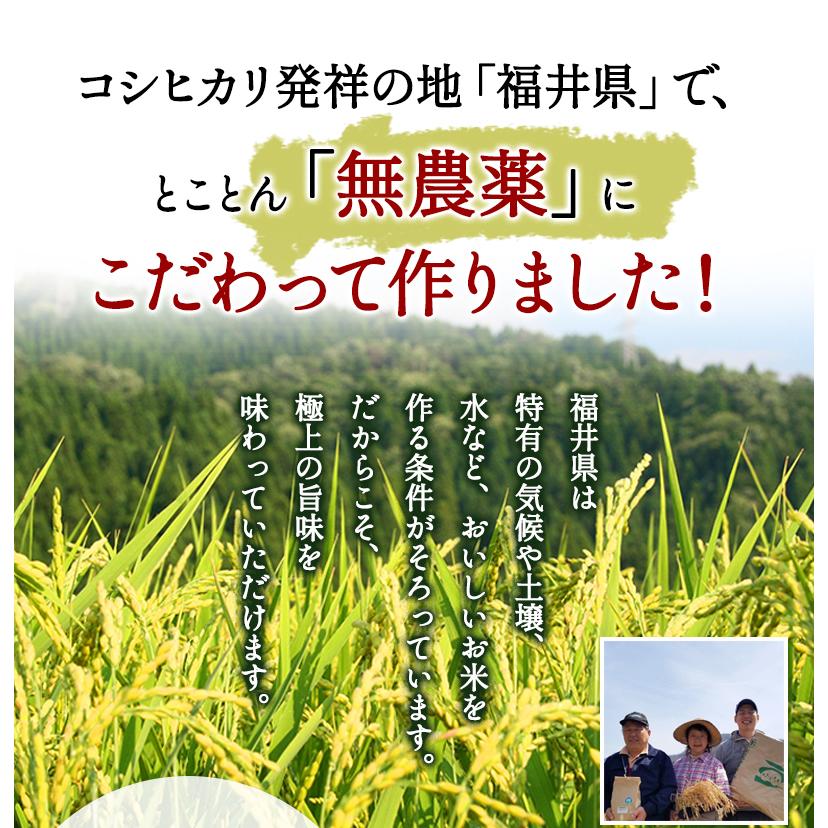 無農薬  米 5kg  無農薬 いのちの壱 令和5年福井県産 新米入荷 送料無料 無農薬・無化学肥料栽培