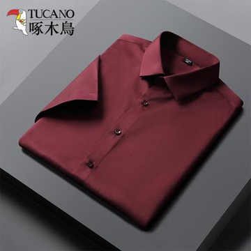 2025夏春季酒紅色襯衫男短袖商務休閑職業裝純色長袖襯衣男裝寸衫
