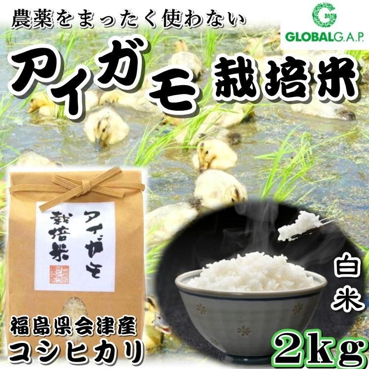 会津 合鴨農法 コシヒカリ 2kg 白米 令和4年産 こしひかり 新米 福島 お米 あいがも 送料無料 無農薬
