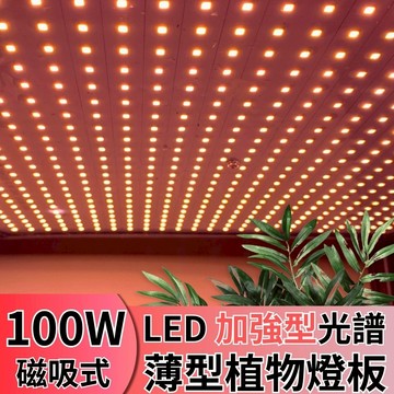 【君沛植物燈】LED植物燈 薄型植物燈板 100W 磁吸式植物燈 加強型光譜 強化植物莖葉發展 植物生長燈版