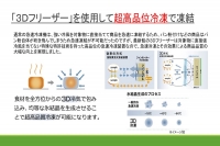 博多和牛熟成ハンバーグ／特製デミソース（10個入り）