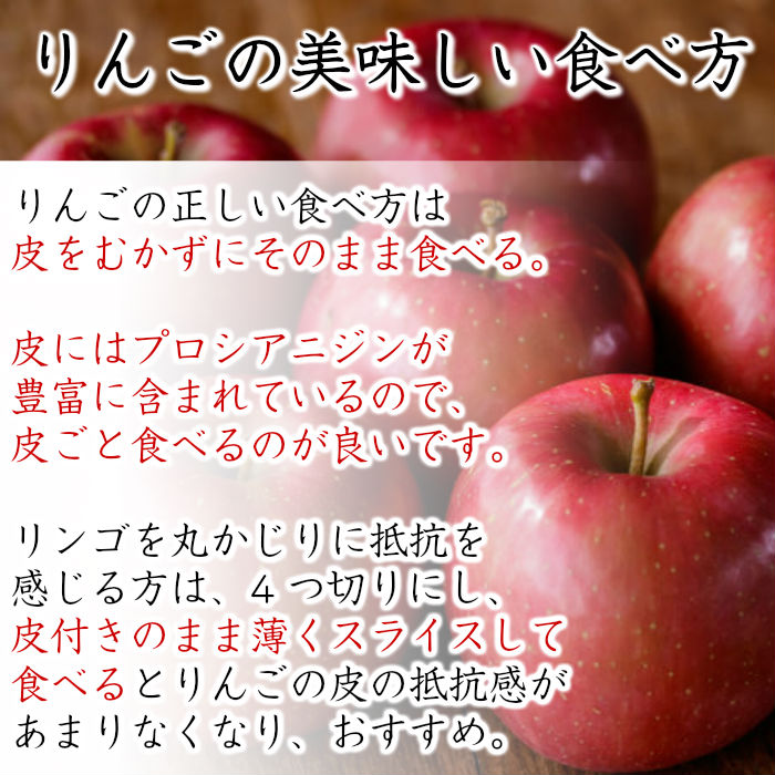 [最短順次発送]  サンつがる 6玉-7玉（大玉） 2kg箱 りんご 長野県産 青森県産