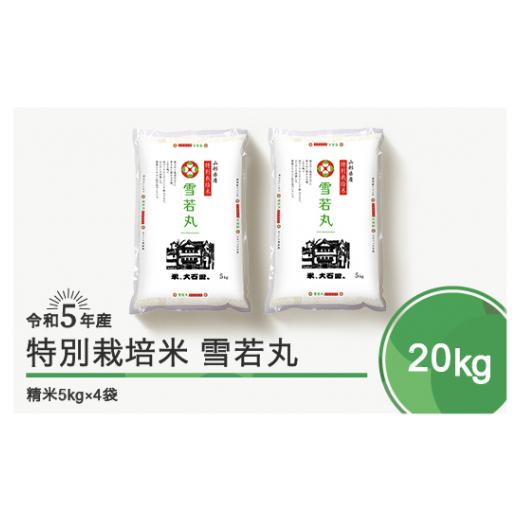 ふるさと納税 山形県 大石田町 令和6年1月上旬発送 雪若丸20kg 精米 先行予約 令和5年産