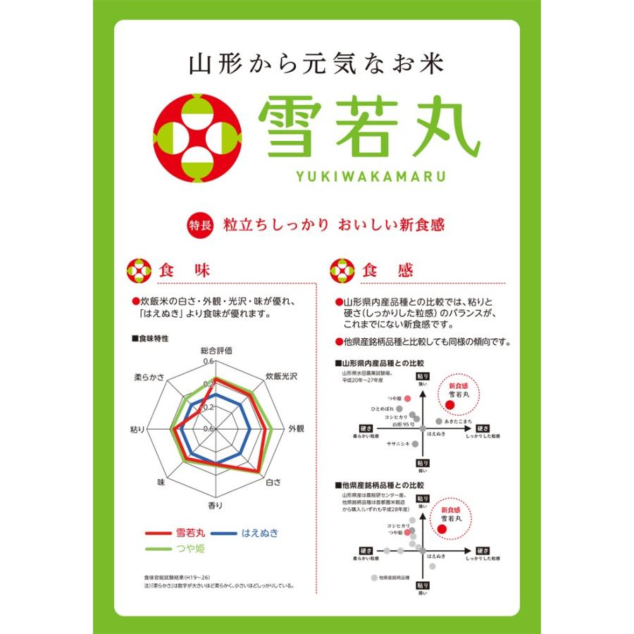 新米 雪若丸 10kg 山形県 白米 特別栽培米