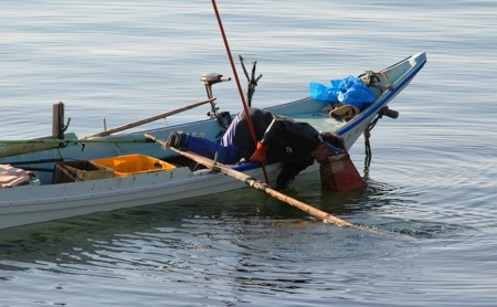 北海道礼文島産 ウニの甘塩一夜漬け食べ比べセット（蝦夷ばふんうに・むらさきうに各1本）