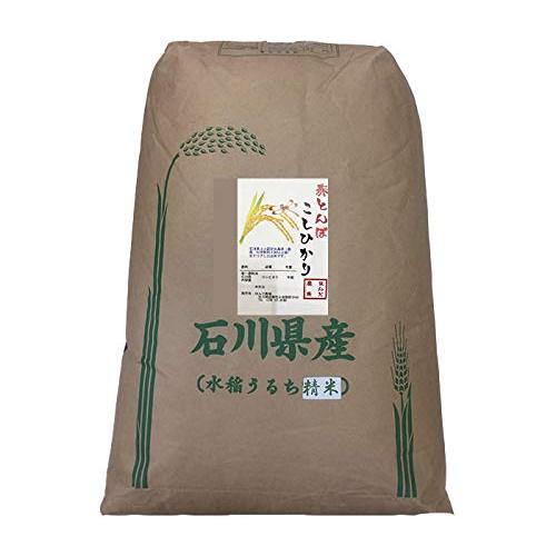 令和5年産 新米 石川県産 加賀百万石 赤とんぼ こしひかり 白米 30kg 新米 エコ栽培米 安心 安全