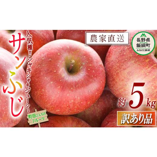 ふるさと納税 長野県 飯綱町 りんご サンふじ 訳あり 5kg 沖縄県への配送不可 2023年12月上旬頃から2024年2月上旬頃まで順次発送予定 町田さんちのりんご 長野…