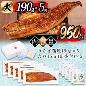 ふるさと納税 日ノ本一の鰻の蒲焼き＜大＞5尾セット(計950g以上) d2-004 鹿児島県志布志市