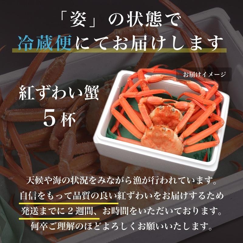 カニ かに 蟹 紅ズワイガニ ベニズワイガニ  越前産 5杯 茹で 冷蔵 送料無料 内祝い お歳暮 プレゼント ギフト