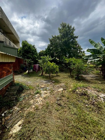 (專)蘆竹區航空站持分農地｜桃園市蘆竹區坑口