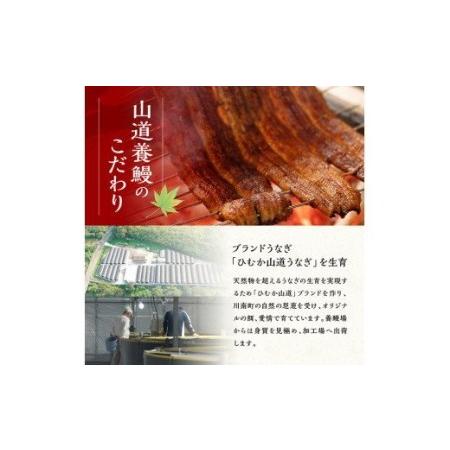 ふるさと納税 名店の味 国産鰻 宮崎県産うなぎ蒲焼 「満喫セット」(うなぎ蒲焼き2尾 骨の唐揚げ うなぎの肝焼 蒲焼きのタレ・粉山椒)【国産うな.. 宮崎県川南町