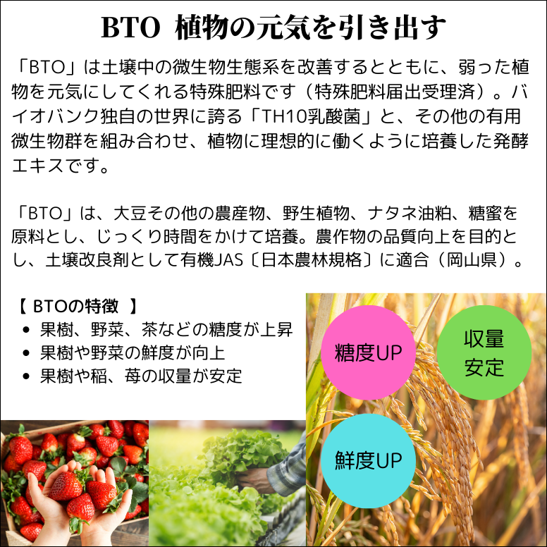 BTO 植物 元気 土壌活性 農業用 土壌改良剤 土壌改良材 稲 野菜 果樹 苺 花弁 茶 芝 収量 糖度 アップ 鮮度 保持 有機農法 モンパ病 5リットル