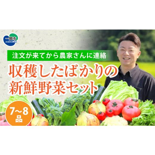 ふるさと納税 岩手県 一関市 収穫したばかりの新鮮野菜セットお試しコース 《7〜8品》 季節のお野菜 おまかせ お楽しみ 獲れたて…