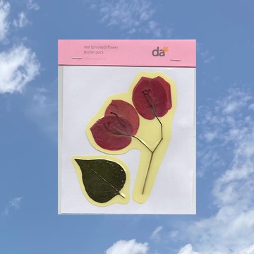 乾燥花貼紙，串鼻龍與葉子的圖案