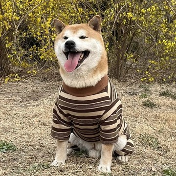 大型犬寵物冬季加絨四腳保暖狗狗金毛拉布拉多阿拉斯加大狗衣服潮