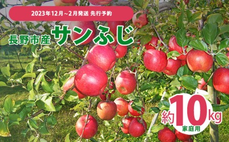 先行予約 長野市産サンふじ家庭用 約10kg 2023年12月～2月発送　※オンライン決済限定