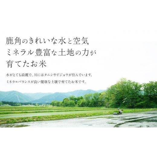 ふるさと納税 秋田県 鹿角市 令和5年産 特別栽培米 ミネラル農法 単一原料米「あきたこまち／こしひかり／ひとめぼれ」玄米 各2kg（計6kg）食べ比べセット【こ…