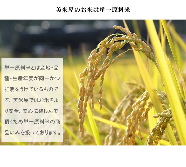 新米 米 白米 10kg 送料無料 ななつぼし 5kg×2袋 北海道産 令和5年産 1等米 ななつぼし お米 10キロ 安い 送料無料