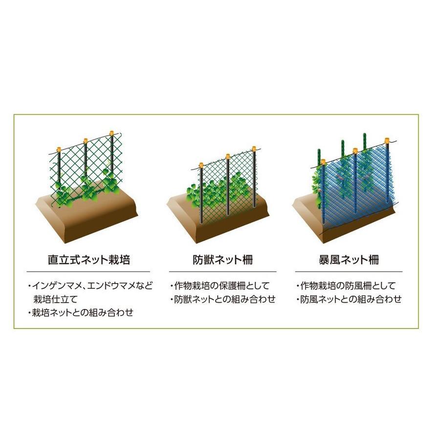 セキスイ 獣害ネット支柱 26x2.1 黒 セット