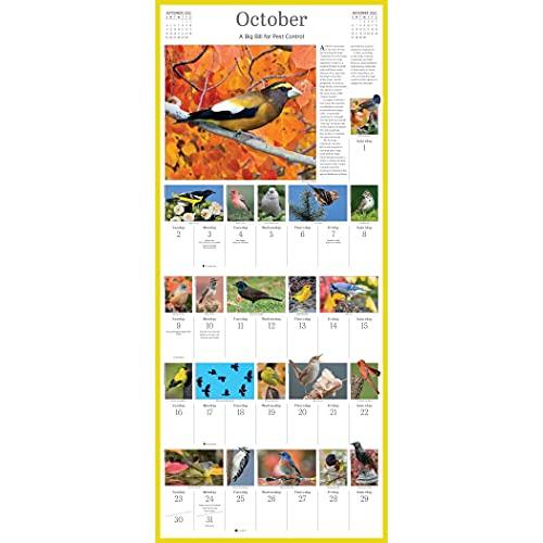 2022 Audubon Songbirds and Other Backyard Birds