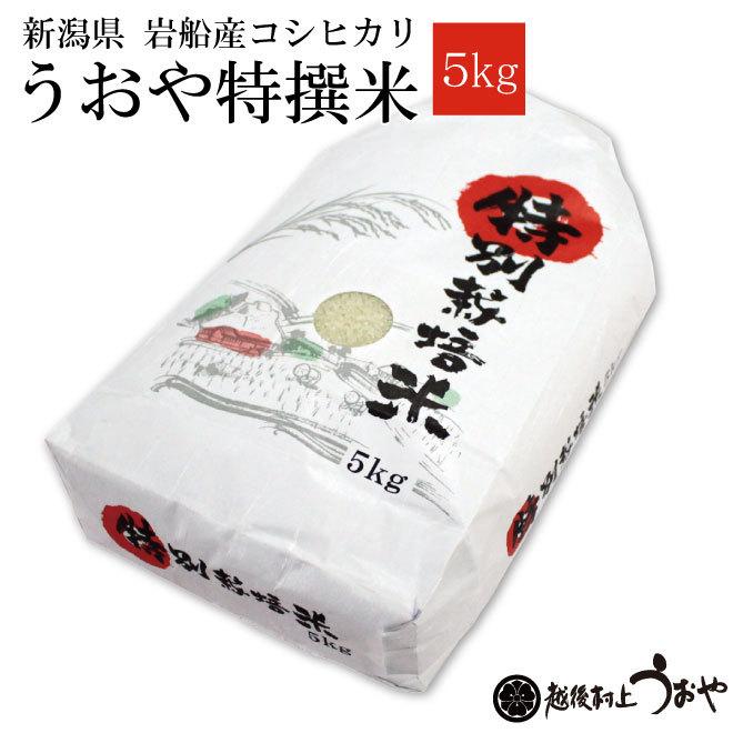 新潟県 岩船産 コシヒカリ うおや特撰米 令和5年度産 新米 5kg