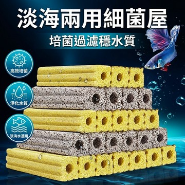 【台灣現貨】 淡海兩用 細菌屋 水族箱濾材 水族過濾材料 硝化細菌 陶瓷環 魚缸濾材 硝化菌窩