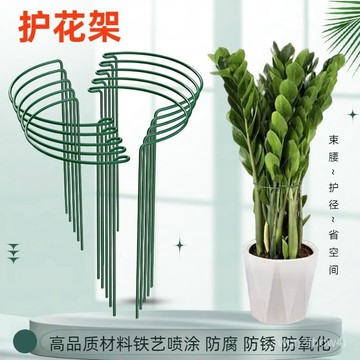✨臺灣有貨✨免運✨花支柱金錢樹龜背竹天堂鳥植物架防倒伏固定護花架子支撐架定型 CZL8