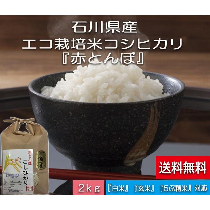 令和5年産 新米 加賀百万石 こしひかり エコ栽培米 石川県産 赤とんぼ  白米 2kg