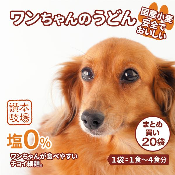 犬用うどん 大量まとめ買い  ワンちゃんのうどん 塩分0% 国産小麦使用