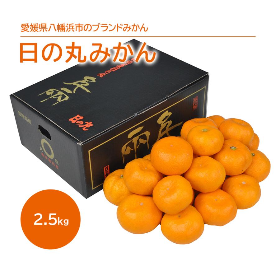 愛媛 日の丸みかん 2.5kg S 〜 Lサイズ みかん 果物 フルーツ