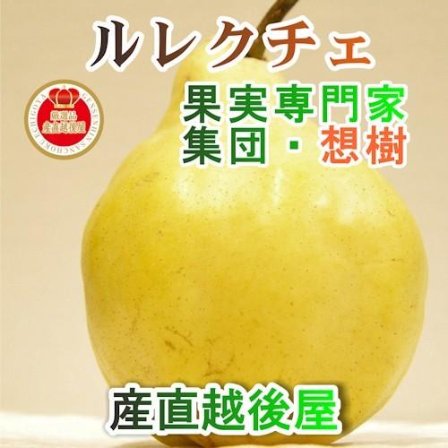 フルーツ 洋梨 ル・レクチェ 新潟県 三条果実専門家集団 想樹 完熟 ルレクチェ 1kg（2個〜3個）贈答用