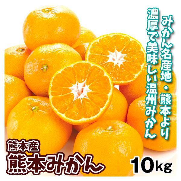 みかん 10kg 熊本産 ご家庭用 蜜柑 送料無料 食品