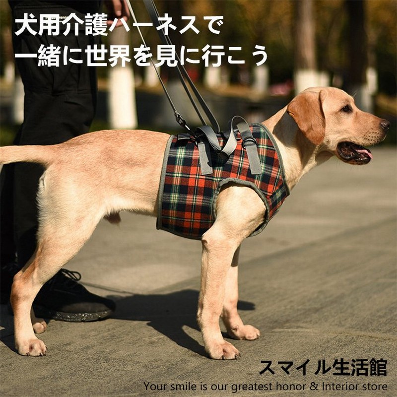 再入荷商品 犬の介護用胴輪 アシスタントバンド Lサイズ 首輪・ハーネス・リード