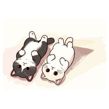 雙層超吸水桌墊 底部防滑  40 x 30 x 0.4cm  日光浴喵  1個