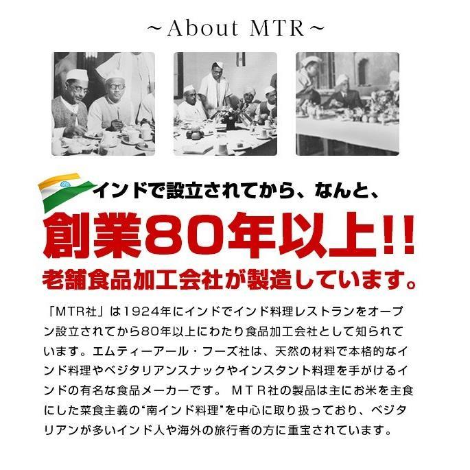 レトルトカレー MTR ビジベレバス 10個 (300g×10個) Bisibele Bhath