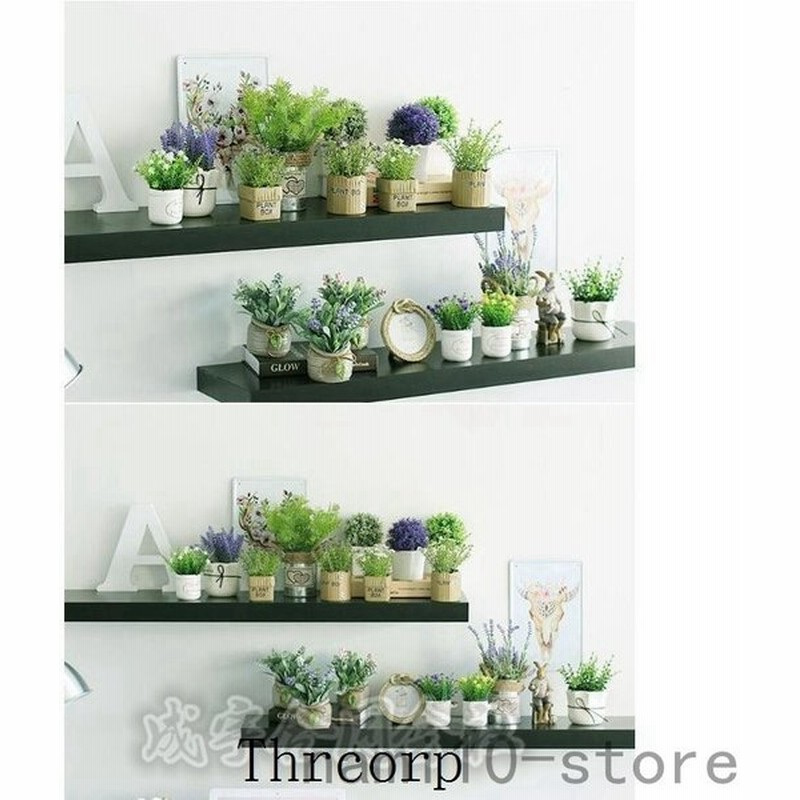 観葉植物 室内 ホーム 人工多肉植物 2点セット ミニ 植物鉢植え 枯れない 庭 デコレーション インテリア プレゼント 可愛い 偽盆栽 装飾用 開店 通販 Lineポイント最大get Lineショッピング