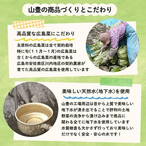 [山豊] 漬物 広島菜 青しそ 広島菜 100g×3