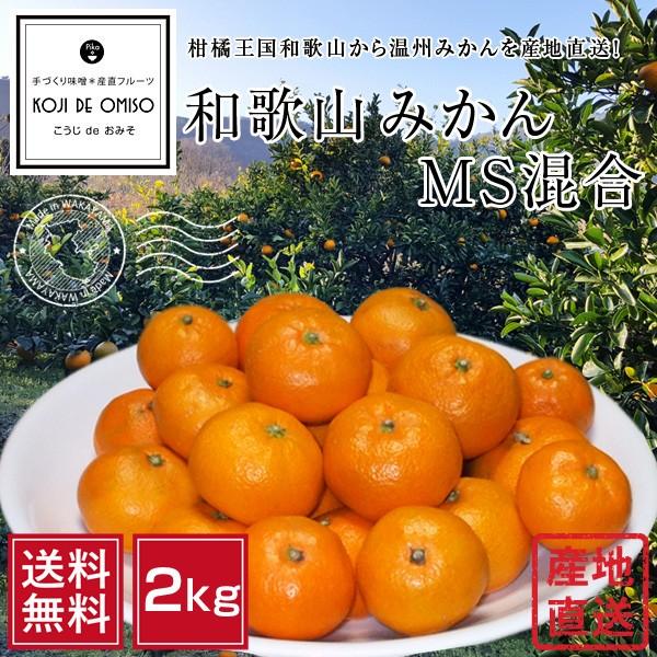 産地直送！ 和歌山みかん MS混合 2kg［送料無料］