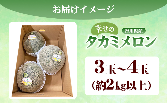 幸せの「タカミメロン」3玉～4玉（約2kg以上）