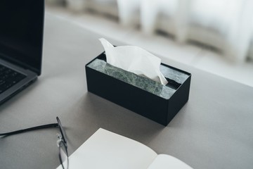 【限量商品】蛇紋石自然面面紙盒